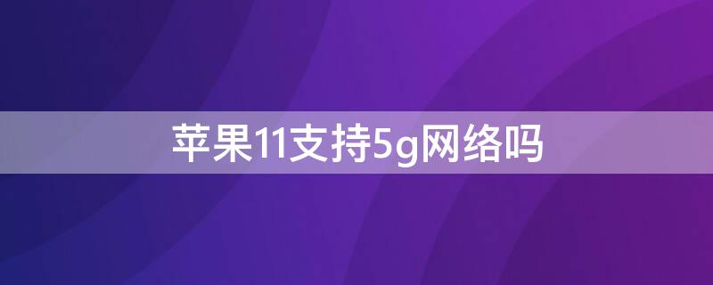 iPhone11支持5g网络吗（iphone12支持5g网络吗）