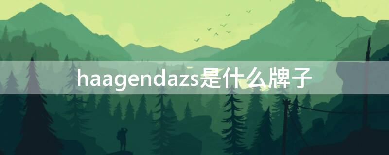 haagendazs是什么牌子（haagendazs是什么牌子有包吗）