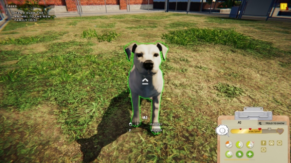 动物收容所游戏怎么玩 动物收容所模拟器新手玩法技巧