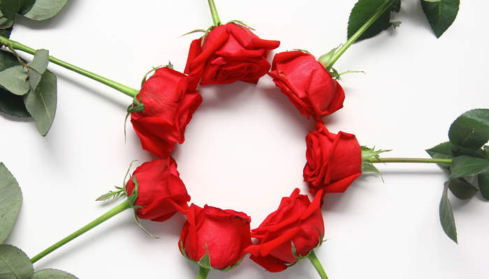 玫瑰花的唯美句子 形容红玫瑰花的唯美句子