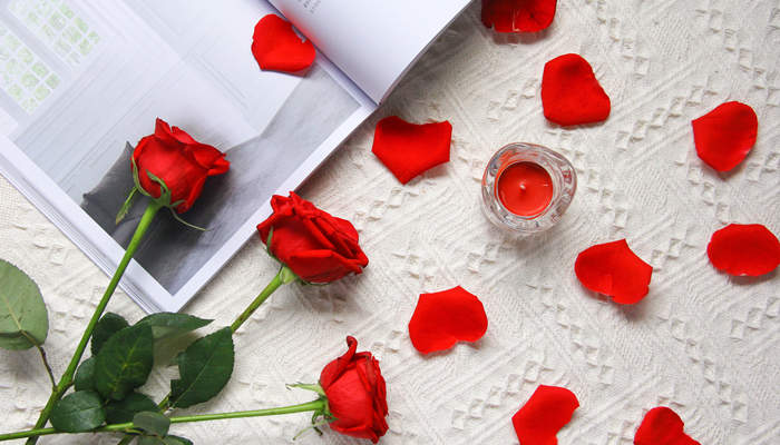 玫瑰花的唯美句子 形容红玫瑰花的唯美句子