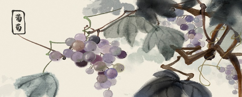 葡萄挂满枝头的诗句