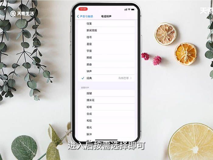 iPhone怎么设置自定义铃声