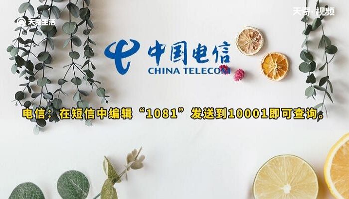 流量查询发什么短信