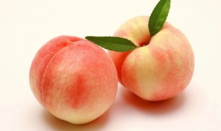 桃子属于酸性还是碱性水果（桃子属于酸性还是碱性食品）
