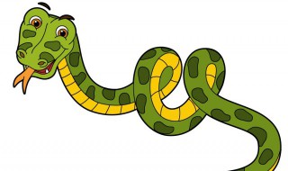白环蛇和银环蛇的区别是什么 银环蛇和黑白环蛇
