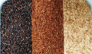 三色糙米和五色糙米区别 五色糙米和三色糙米四色糙米有什么区别