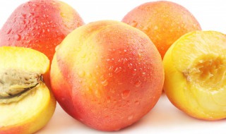 油桃和桃子的区别是什么（油桃和桃子的区别是什么芭芭农场）