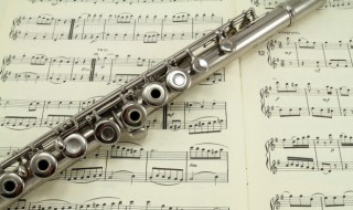 长笛属于什么乐器（长笛和短笛属于什么乐器）