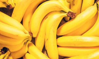 芭蕉和香蕉是一个东西吗（香蕉芭蕉一样吗）