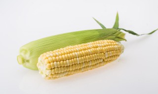 玉米可以连皮一起煮吗 玉米连皮一起煮水喝有什么作用
