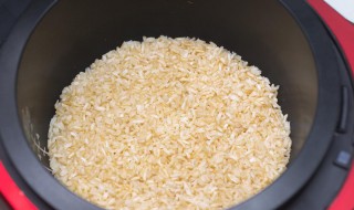 吃糙米饭的好处和坏处 吃糙米饭有什么好处