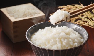 微波炉米饭怎么做（微波炉怎么做米饭?）