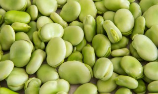 新鲜嫩蚕豆怎么保存到冬天吃 嫩蚕豆怎么保鲜储存