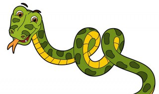 蛇没有四肢但它属于爬行动物为什么 蛇没有四肢但它属于爬行动物,为什么?