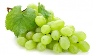 绿色的葡萄能做葡萄酒吗 绿色的葡萄酒可以喝吗