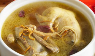 鸽子汤是用冷水还是热水煲 鸽子煲汤是用开水还是冷水