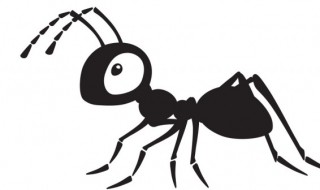蚂蚁起源于什么时期 蚂蚁起源于什么时候