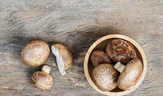 猴头菇和香菇比性价比谁高 猴头菇和香菇营养区别