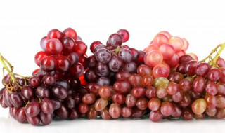 葡萄放在冰箱里可以保存多久 葡萄放在冰箱里能放多久