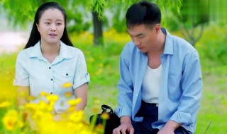 兰桐花开万贤说下雨第几集 兰桐花开下雨是哪一集