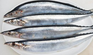 秋刀鱼和马步鱼是同一种鱼吗 秋刀鱼和马步鱼的区别