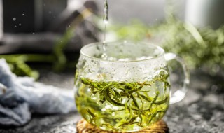 金花茶品种有几种 金花茶有几个品种