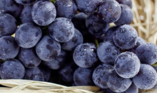 吃葡萄该不该吐葡萄皮葡萄籽能吃吗 吃葡萄要不要吐葡萄籽