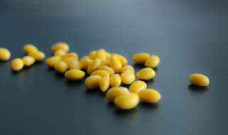鲜黄豆如何长时间保存 鲜黄豆怎样保存多久