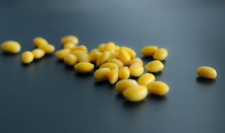 谷雨可以种黄豆吗 谷雨季节能种花生黄豆吗