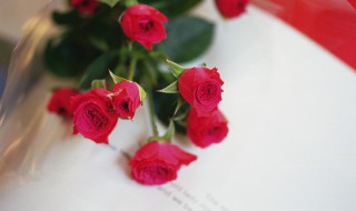 如何保存玫瑰花 如何保存玫瑰花不枯萎