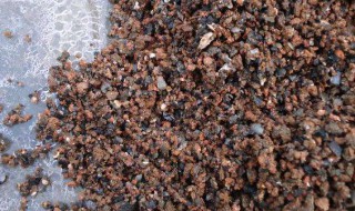 蜂窝煤渣如何处理后才能使用 蜂窝煤渣没经过处理就种花了,怎么办