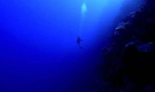 世界上最大的海沟 世界上十大最深的海沟