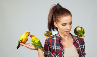 为什么鹦鹉能模仿人说话 鹦鹉为什么会模仿人的声音