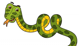 为什么毒蛇和无毒蛇长得不一样（为什么毒蛇和无毒蛇长得不一样大）