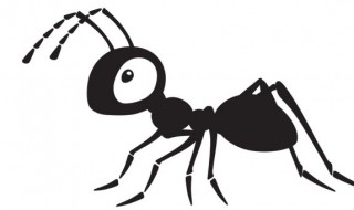 蚂蚁为什么总是很忙碌 蚂蚁整天忙忙碌碌的是干什么