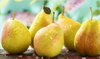 黄花梨的种植方法 黄花梨树的种植方法