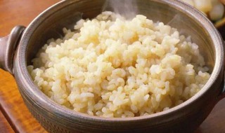 糙米饭的正确煮法 糙米粥的正确煮法