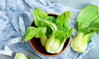 青菜是不是属于十字花科植物 青菜是十字花科植物吗