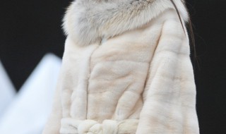 貂皮大衣可保存多久 貂皮大衣保质期是多久