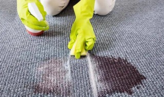 如何清洗地毯污垢 地毯脏污如何清洗
