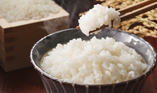 微波炉做米饭用什么样的容器好? 微波炉做米饭