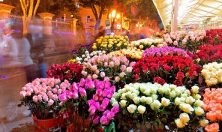 哪个城市以花卉而闻名 以花卉命名的城市