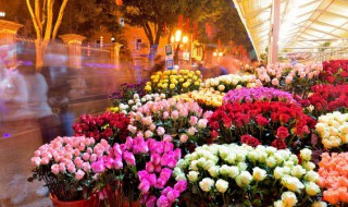 以花卉命名的城市是哪个? 以花卉命名的是哪个城市