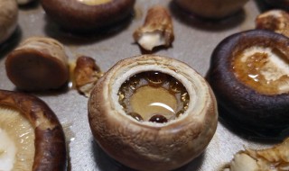 蘑菇怎么做好吃 蘑菇怎么做好吃家常做法