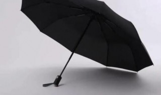 内黑胶太阳伞能淋雨吗 黑胶太阳伞可以遮雨吗