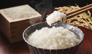 怎么用微波炉蒸米饭 怎样用微波炉蒸米饭