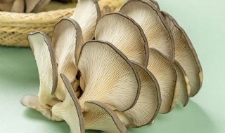 蘑菇上有白色的毛能吃吗 蘑菇长白色的毛能吃吗