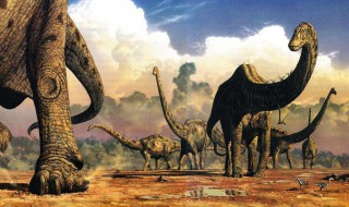 恐龙中最大的是什么恐龙（最大的恐龙是什么呢）