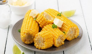 冷冻的玉米煮多长时间能熟 冷冻煮熟的玉米要煮多久就好了